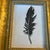 Contemporary black feather painting / drawing by Anna Heigh. Signed and framed. Measures 5x7 or approximately 9.5x11.5...