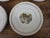 White Soup Plates in Lunéville Earthenware from Keller & Guerin, 1890s, Set of 11 For Sale - Image 8 of 18