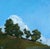 Hindsight by Emma Kalff | Oil on panel Landscape with trees and blue sky. For Sale - Image 4 of 5