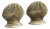 Mid-20th Century Solid Brass Seashell Bookends — A Pair For Sale