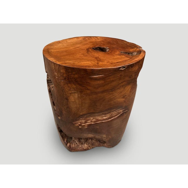 Andrianna Shamaris Sculptural Teak Wood Tray Side Table For Sale - Image 9 of 18