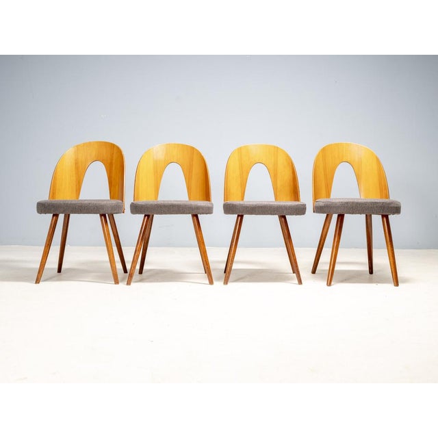 Lavender Dining Chairs by Antonín Šuman for Tatra Furniture, Czechoslovakia, 1960s, Set of 4 For Sale - Image 8 of 11