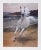 Galloping along the wet sand, the white horse in this Caroline Schultz print runs free across the beach. Hooves splashing...