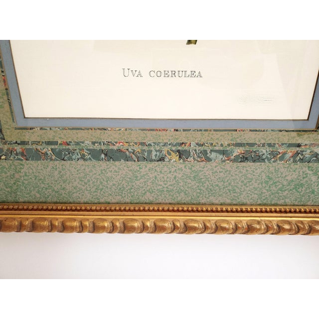 Wood Large Italian Reproduction Print Signed For Sale - Image 7 of 12