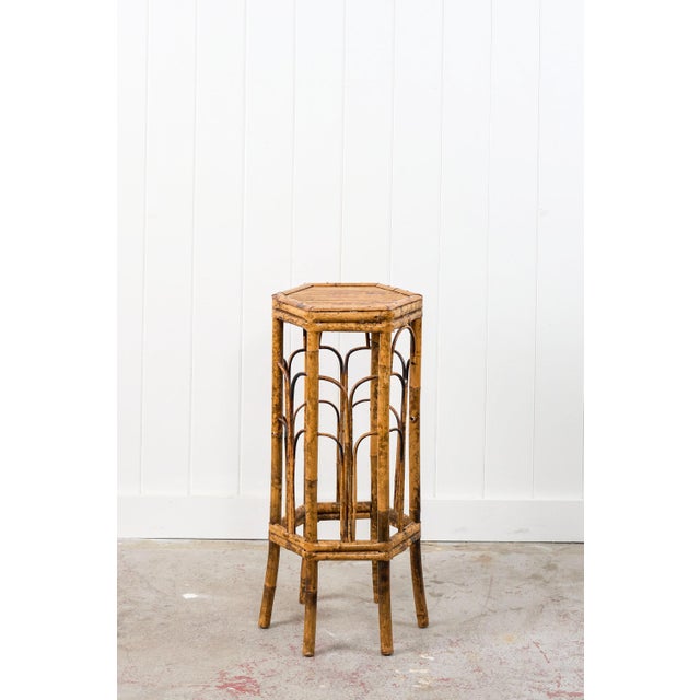 English Antique Tortoise Octagon Bamboo Stand For Sale - Image 3 of 12