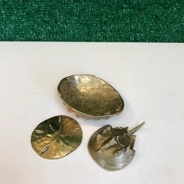 Set of three solid brass paperweights in a nautical theme. Abalone 3.5 wide 3 deep .75” tall Sandollar 2.25” diameter...
