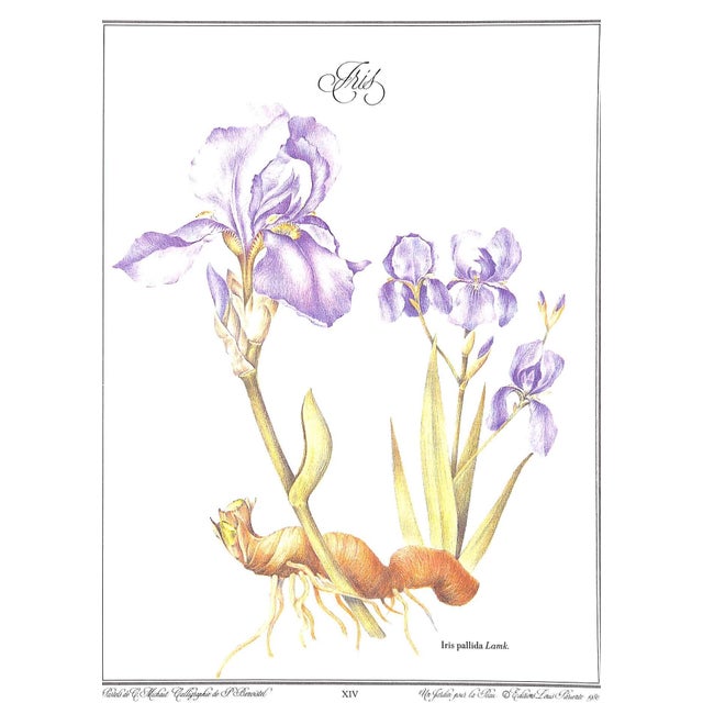 "Un Jardin Pour La Peau" 1986 Delaveau, Pierre/ Clair, Genevieve For Sale - Image 10 of 11