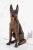 1940s 1940s German Shepherd Earthenware Figurine, Portuguese For Sale - Image 5 of 13