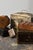 Antique Victorian Tunbridge Ware Mini Rectangular Inlaid Box, Circa Late 19th - Early 20th Century For Sale - Image 12 of 12