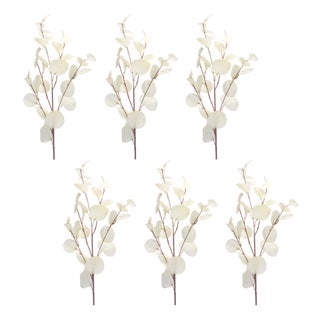 IvorySilver Dollar Eucalyptus Leaf Spray (Set of 6) For Sale