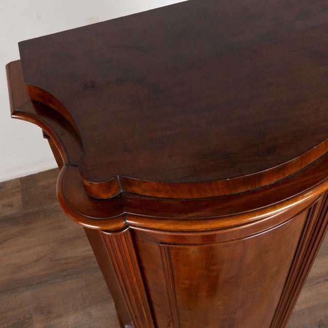 19th Century Danish Mahogany Narrow Column Cabinet For Sale - Image 6 of 11