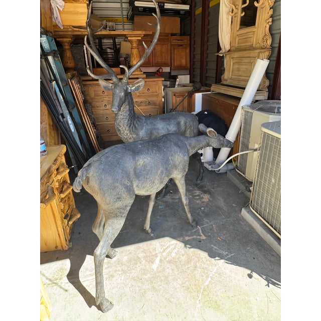 Late 20th Century Life Size Bronze Cast Buck and Doe Deer Statues, 2 Pieces For Sale - Image 4 of 12