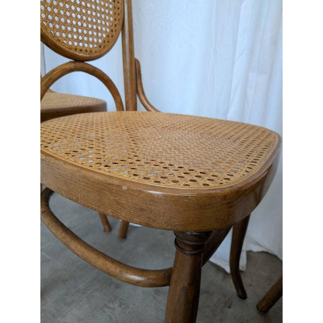 Vintage Bentwood Cane Dining Chairs, 1970s, Set of 6 For Sale - Image 15 of 18