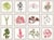 Bradbury Seaweeds, Framed Artwork - Set Of 12 For Sale - Image 13 of 13