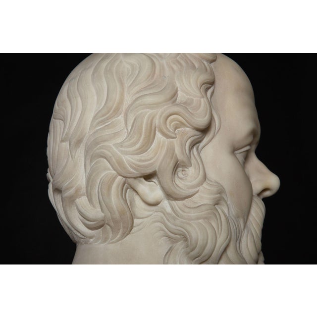 19th Century Antique Italian Grand Tour Marble Bust of Socrates Ca. 1860-80 For Sale - Image 11 of 17