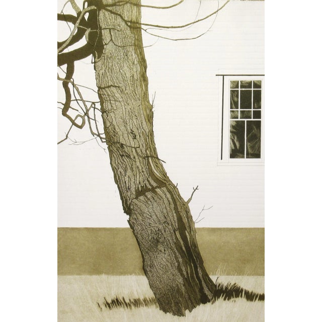 This artwork titled "New England Locust Tree" c.1980 is an original color lithograph with embossing on wove paper by noted...