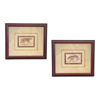 Pair: Vintage Jaguar Felis Onca Book Plate Lithographs Framed Art Print Big Cats For Sale