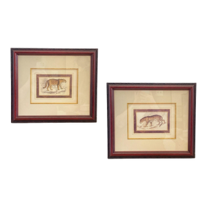Pair: Vintage Jaguar Felis Onca Book Plate Lithographs Framed Art Print Big Cats