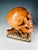 Memento Mori Wooden Sculpture of a Skull For Sale - Image 4 of 8