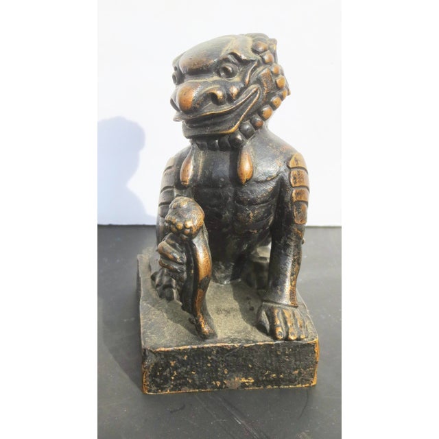 Early 20th Century Early 20th Century European Bronze Fantastic Guard Dog For Sale - Image 5 of 6