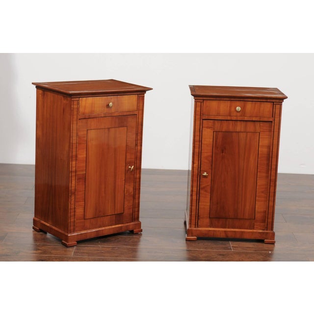 Pair of Austrian Biedermeier Cabinets with Single Drawer and Door, circa 1870 For Sale - Image 4 of 11