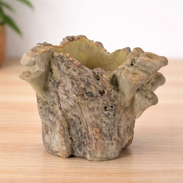 Bring the beauty of the outdoors inside with this Faux Tree Stump Cement Planter Container. Designed to mimic the rugged...