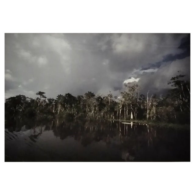 AH, Nature Image, 1990, Photographic Print For Sale