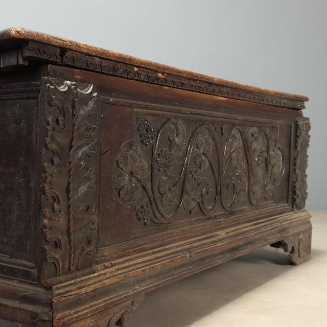 Walnut Chest with Vine Tendril Carvings For Sale - Image 6 of 13