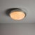 Metal Large 1960s Sergio Mazza Glass and Metal Ceiling or Wall Lamp for Artemide For Sale - Image 7 of 15