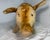 Large Vintage Handmade German Steiff Mohair Dalle Boar Pig Stuffed Animal 23 In. For Sale - Image 10 of 16