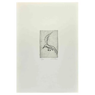 Enotrio Pugliese, Seagull, Etching, 1963 For Sale