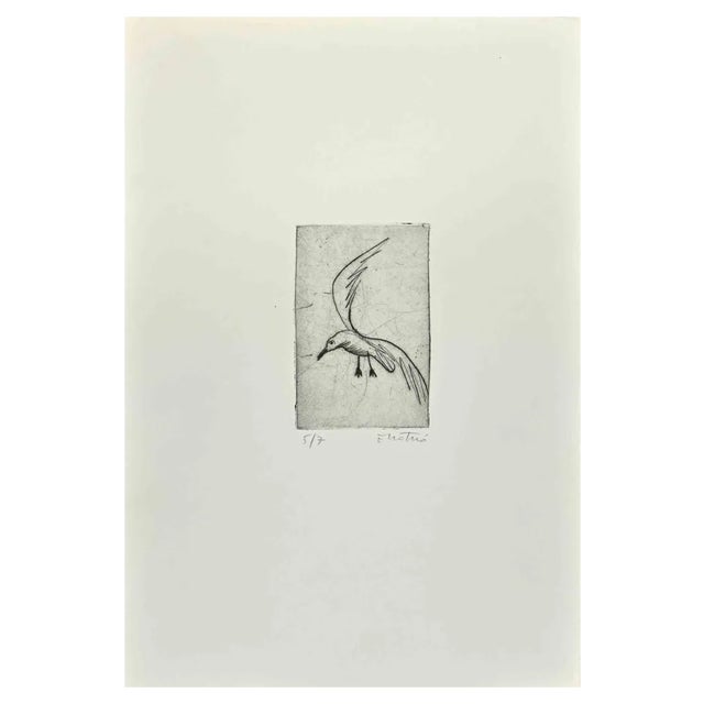 Enotrio Pugliese, Seagull, Etching, 1963 For Sale