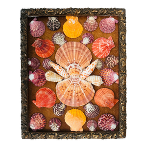 Antique Frame With Shell Art