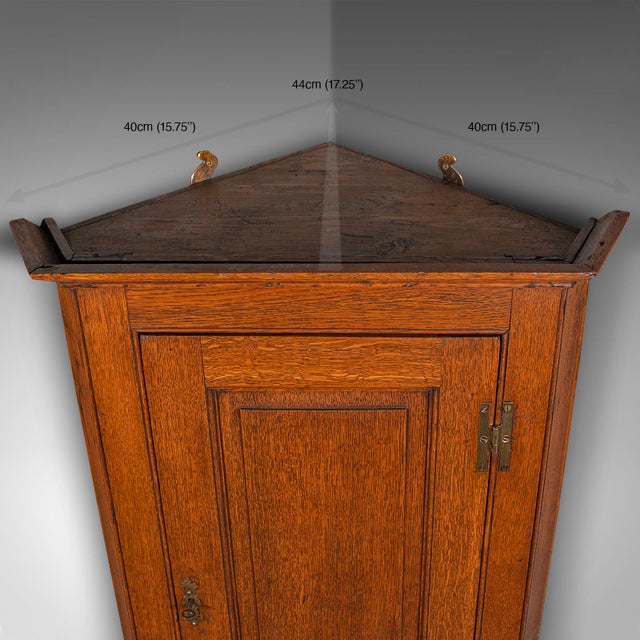 1800's Tall Antique Corner Cabinet For Sale - Image 10 of 10