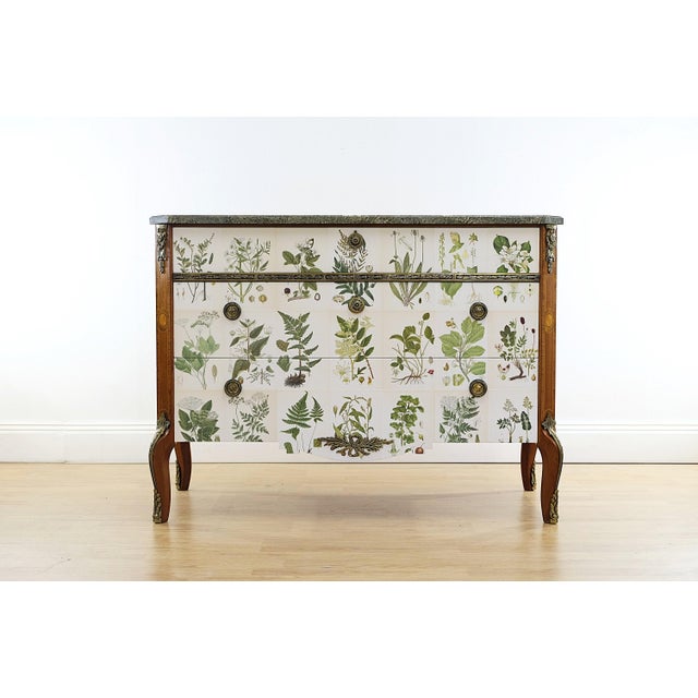 Gustavian Chest with Nordens Flora by C.A.M Lindman, Sweden, 1940s For Sale - Image 3 of 11