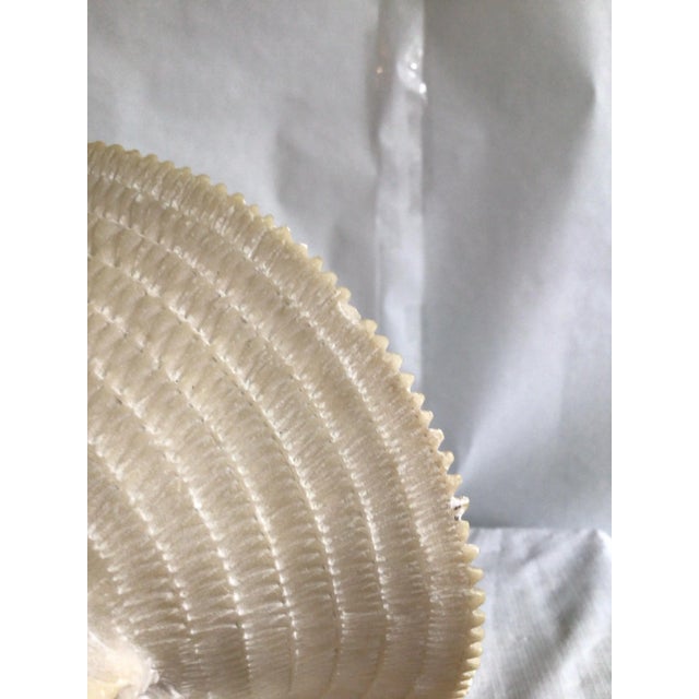 Art Nouveau 1940s Alabaster Bust Of A Young Woman On A Marble Base For Sale - Image 3 of 12