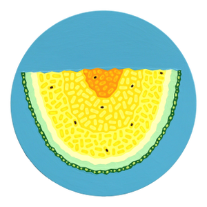 Yellow Watermelon - Original Vibrant Abstract Fruit Still Life Acrylic Painting on Panel by Will Beger