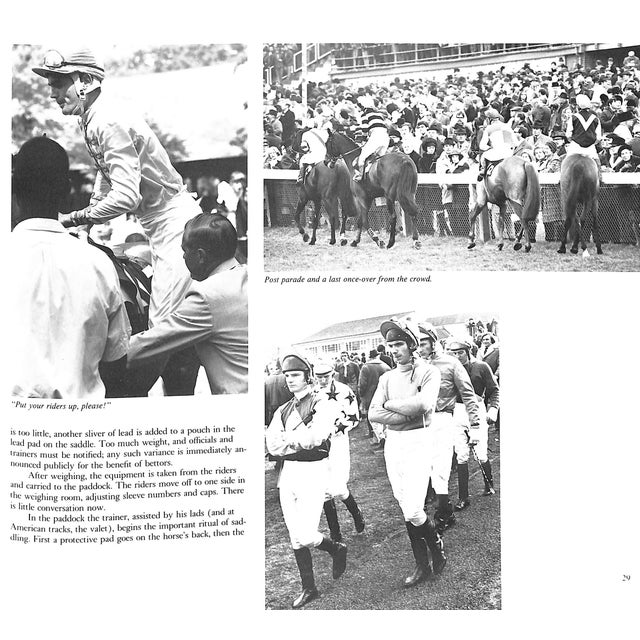 White "Steeplechasing" 1983 Woolfe Jr., Raymond For Sale - Image 8 of 8