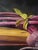 Beets - Locally Grown by Marsha Whitesides Piper | Oil on panel Still life of beets and greens. For Sale - Image 4 of 5