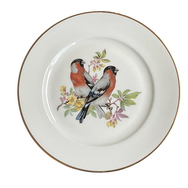 English Mid 20th Century Porcelain Song Bird Plates JKW Western Germany, Set of 6 For Sale - Image 3 of 18