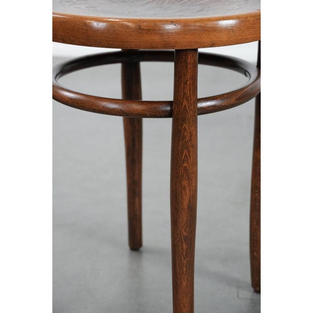 Antique Bentwood Stool, 1890s For Sale - Image 11 of 12