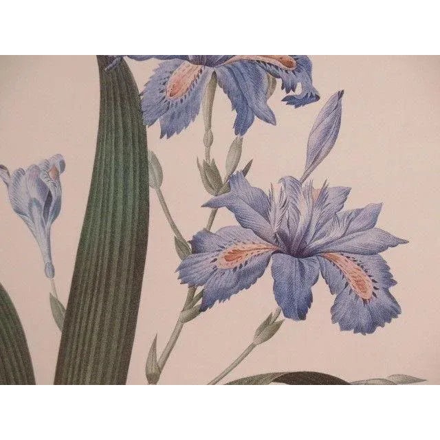 "Iris" Floral Decorative Framed & Matted Prints - a Pair For Sale - Image 4 of 10