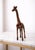 Antique Copper Finish Metal Giraffe Sculpture For Sale - Image 4 of 10