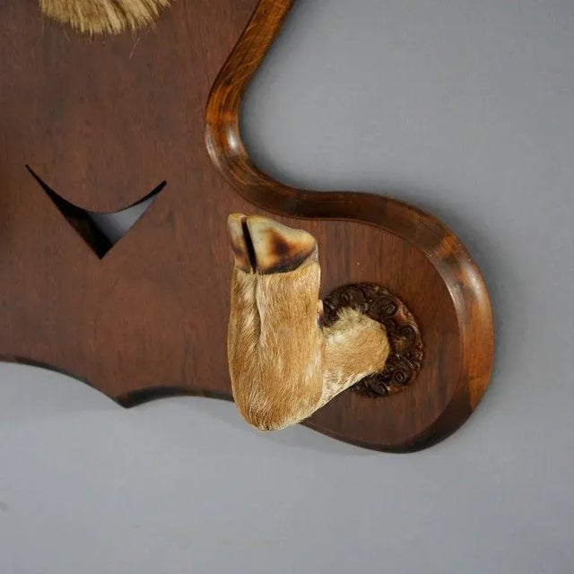 Antique Deer Mount Hall Hat Rack Circa 1930 For Sale - Image 6 of 9