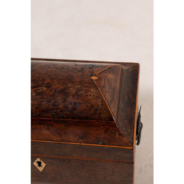 Early 19th Century Regency Burl Yew Tea Caddy (C. 1820) For Sale - Image 5 of 10