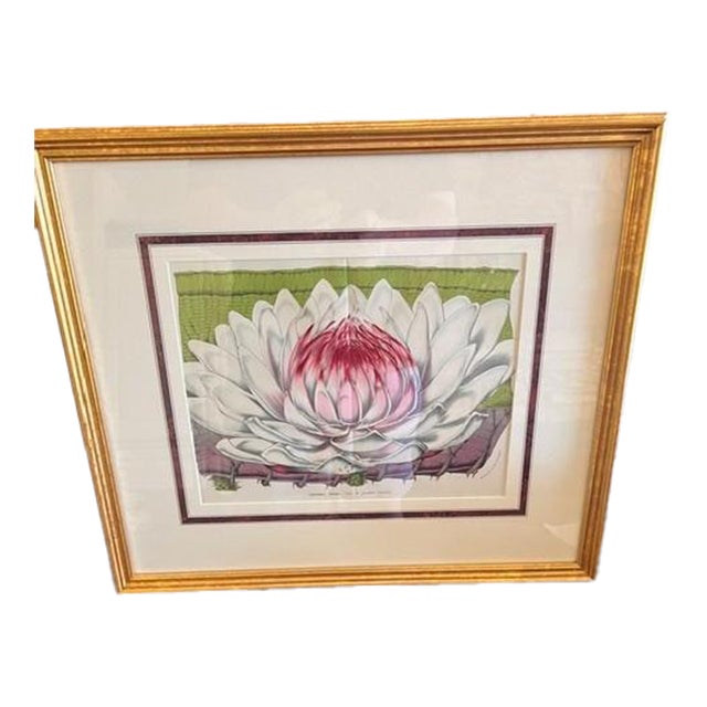 Mid 19th Century Victoria Regia Botanical Lithograph - Giant Water Lily For Sale