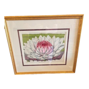 Mid 19th Century Victoria Regia Botanical Lithograph - Giant Water Lily