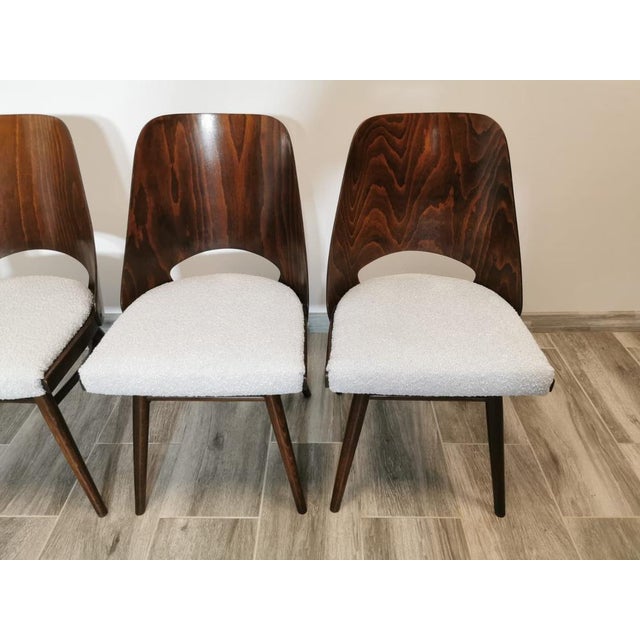 Dining Chairs by Radomir Hoffman for Ton, 1950s, Set of 4 For Sale - Image 4 of 18