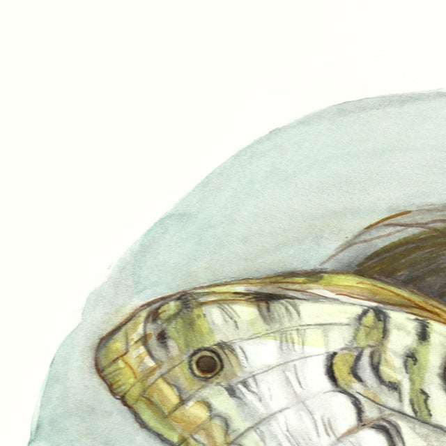 Amanda Immurs, an artist hailing from Hamilton, Canada, creates enchanting watercolor artworks that bring whimsical scenes...