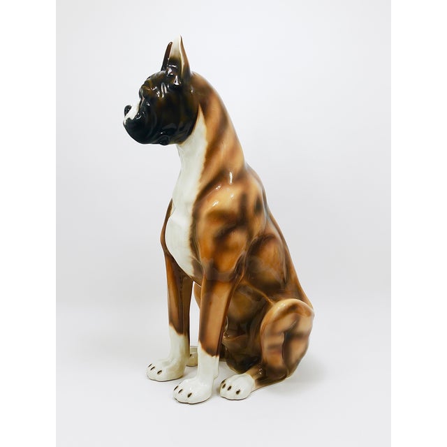 Boxer Dog Life-Size Majolica Statue Sculpture in Glazed Ceramic, Italy, 1970s For Sale - Image 15 of 18